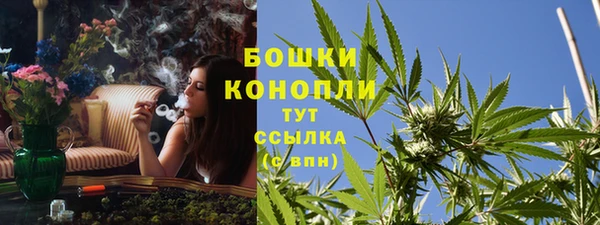 бошки Алексин